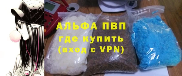 ПСИЛОЦИБИНОВЫЕ ГРИБЫ Богданович