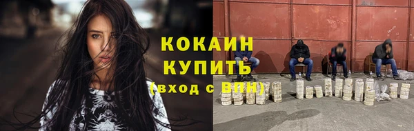 ПСИЛОЦИБИНОВЫЕ ГРИБЫ Богданович