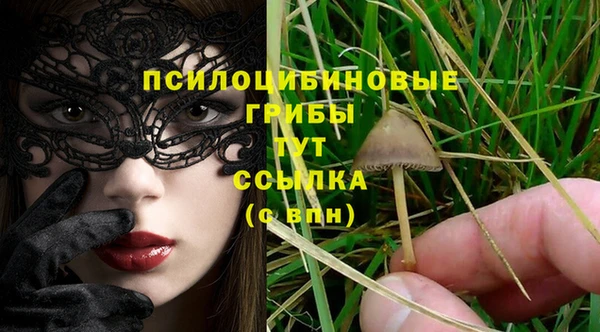 первитин Беломорск
