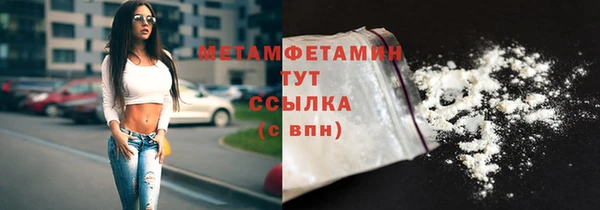ПСИЛОЦИБИНОВЫЕ ГРИБЫ Богданович