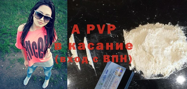 ECSTASY Магас