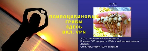 ECSTASY Магас