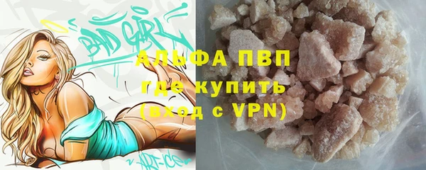 ПСИЛОЦИБИНОВЫЕ ГРИБЫ Богданович