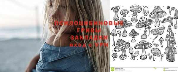ПСИЛОЦИБИНОВЫЕ ГРИБЫ Богданович