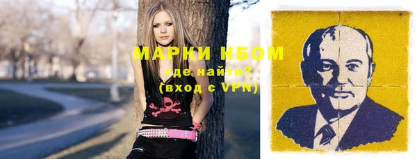 ПСИЛОЦИБИНОВЫЕ ГРИБЫ Богданович