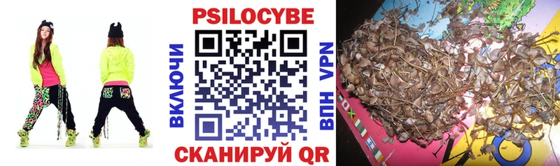 darknet наркотические препараты  наркота  Бирюсинск  Псилоцибиновые грибы ЛСД 